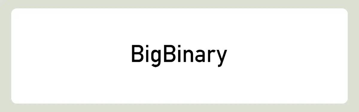 big binary